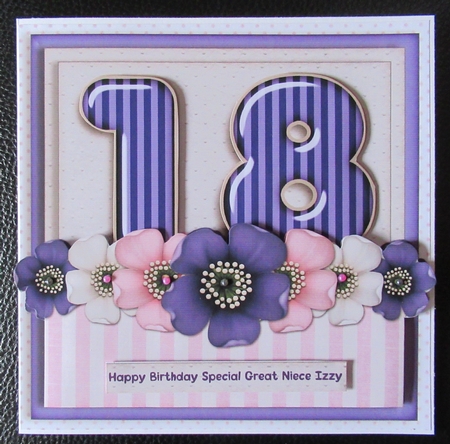 Addon Birthday Bumperkit 1293 18 & 21 male female  by Davina Rundle