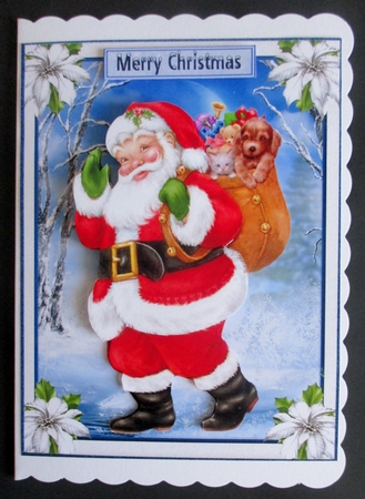 Delightful Santa by Davina Rundle