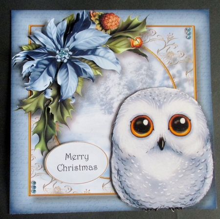 Watercolour Winter Animals - Baby Snowy Owl by Davina Rundle