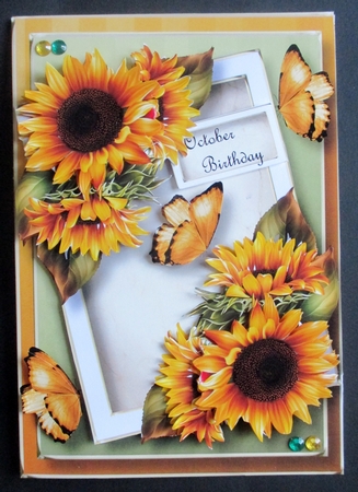 The Angled Frame - Sunflowers by Davina Rundle