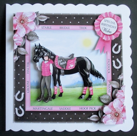 The Pony Club by Davina Rundle