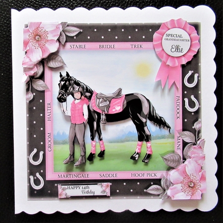 The Pony Club by Davina Rundle