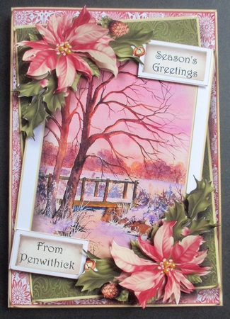 Framed Christmas - Winter Sunset by Davina Rundle