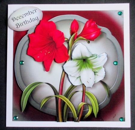 Gorgeous Amaryllis by Davina Rundle