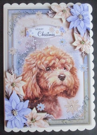The Christmas Poodle by Davina Rundle