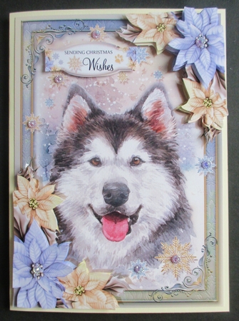 The Christmas Husky by Davina Rundle