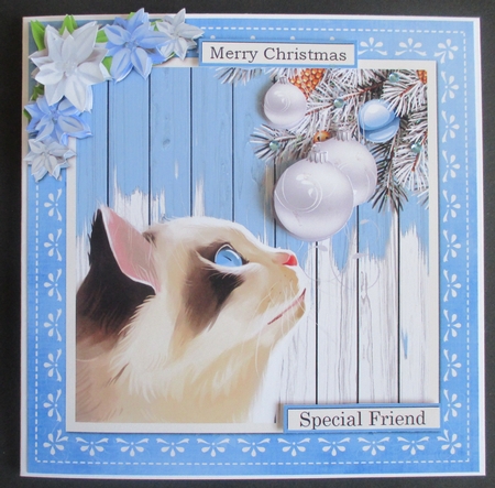 Cats at Christmas by Davina Rundle