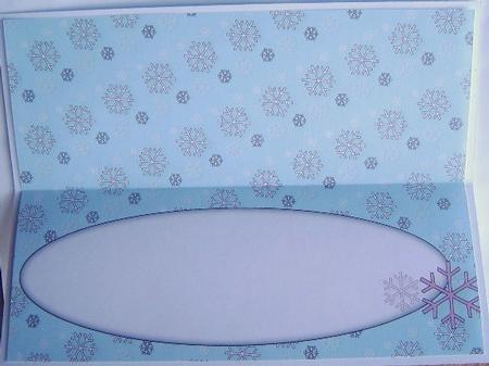 Snowflakes Insert for Large Dl 3 by Davina Rundle
