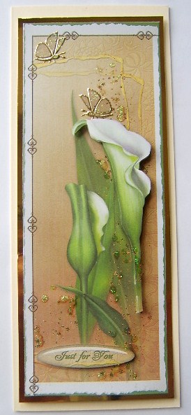 Lily Dl by Davina Rundle