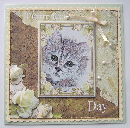 Pams Cat 3 by Davina Rundle