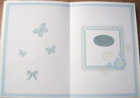 Blue Butterfly Insert by Davina Rundle