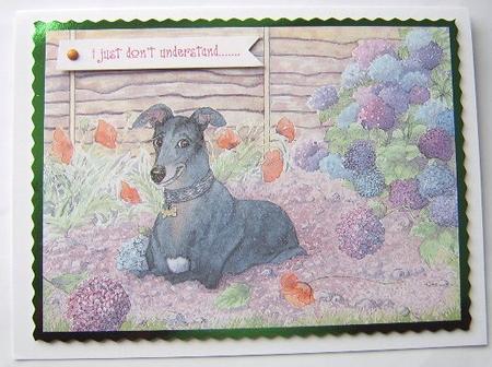 A4 This Greyhound Dog Was a Keen Gardener by Davina Rundle