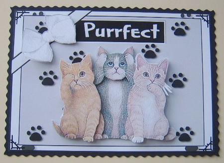 Purrfect Kittens by Davina Rundle