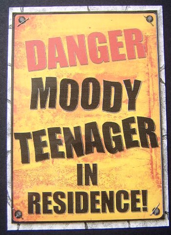 A4 Fun Novelty Moody Teenager Card Topper by Davina Rundle