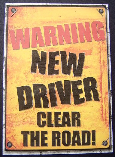 A4 Fun Novelty New Driver Card Topper by Davina Rundle