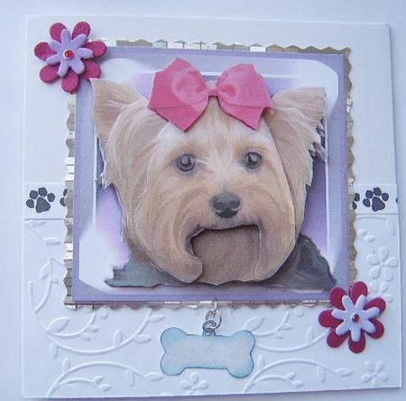 Yorkshire Terrier Portrait 3D Decoupage by Davina Rundle