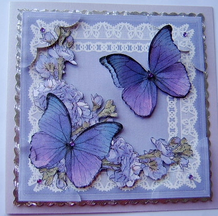 8 x 8 Butterflies Flowers N Lace Scalloped Corner Topper by Davina Rundle