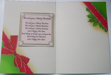 Christmas Holly & Ribbon Insert by Davina Rundle