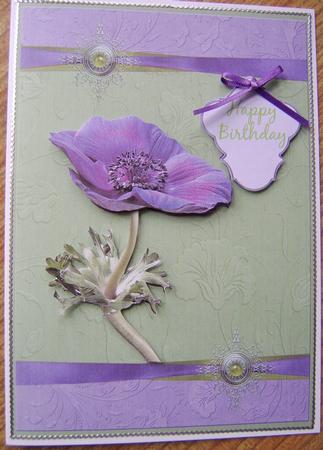 Purple Anemone Step by Step by Davina Rundle