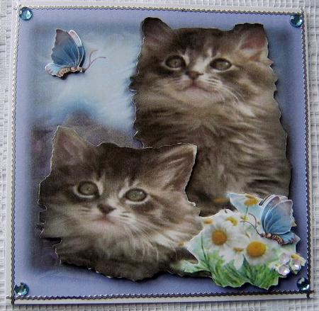 Cute Kittens Step by Step by Davina Rundle