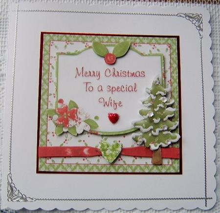 Merry Christmas to a Special Wife Card Front by Davina Rundle