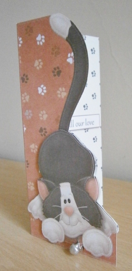 Felix Cat Shaped Card by Davina Rundle