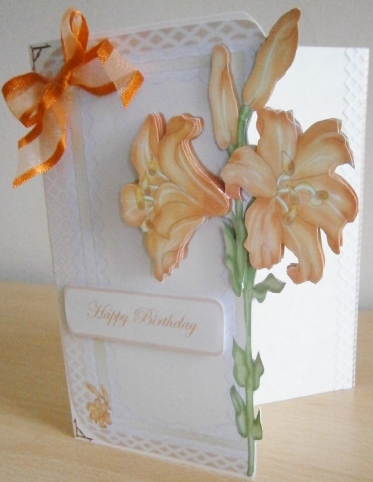Orange Amaryllis by Davina Rundle