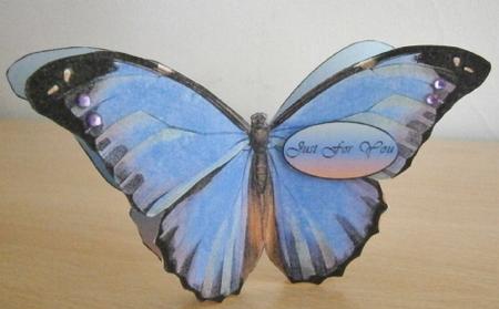 Butterfly Stand Up Card 4 by Davina Rundle