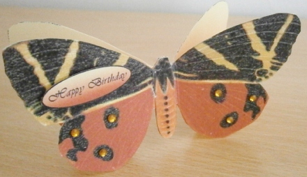 Butterfly Stand Up Card 5 by Davina Rundle