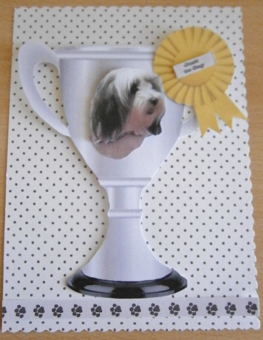 Tibetan Terrier Portrait 3D Decoupage by Davina Rundle