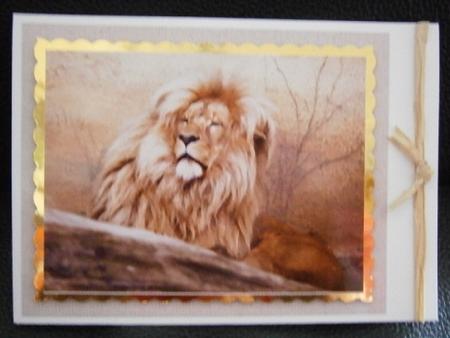 Majestic Lion Watercolor Card Topper by Davina Rundle