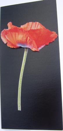Poppy Large Step by Step by Davina Rundle