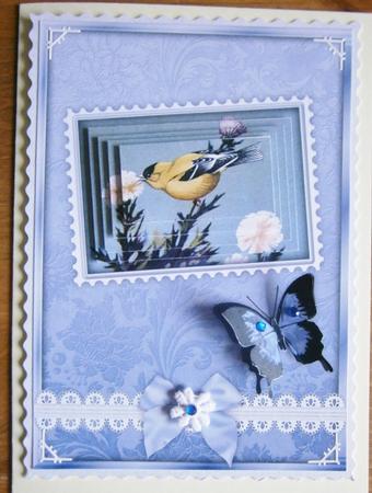 Little Yellow Bird Pyramid Postcard Card by Davina Rundle