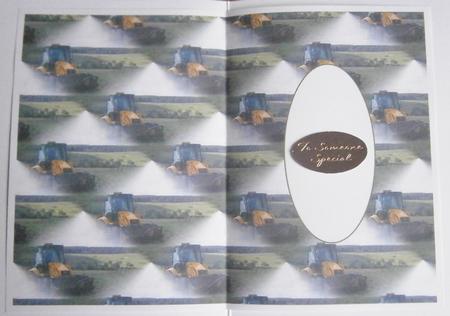 Digger Insert by Davina Rundle