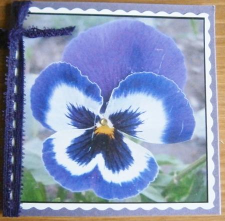 Blue Pansy Topper by Davina Rundle