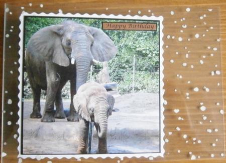 Baby Elephant Topper by Davina Rundle