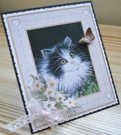 Black and White Kitten with Gold Butterfly by Davina Rundle