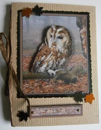 Tawny Owl Woodland Scene 3D Decoupage by Davina Rundle