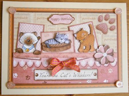 Cat's Whiskers Topper & Decoupage by Davina Rundle