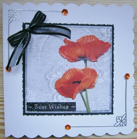 Poppy Duo on Grey 8x8inch Step by Step by Davina Rundle