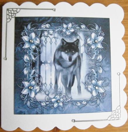 Lone Wolf by Davina Rundle