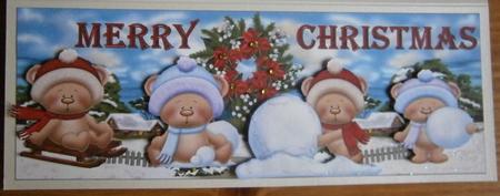 Large Dl Card Snowfun Christmas by Davina Rundle
