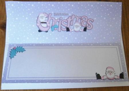 Large Dl Baby's First Christmas Matching Large Dl Insert by Davina Rundle