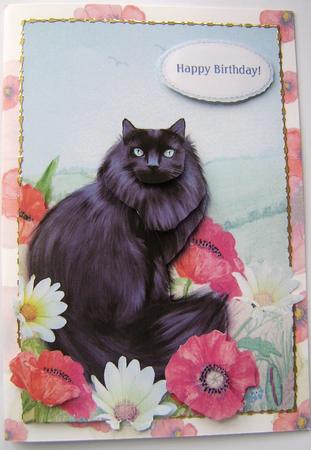 Black Cat Poppies & Daisies A5 Decoupage Card Front by Davina Rundle