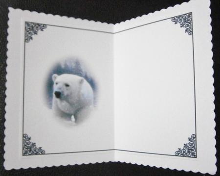 Polar Bear Blank Insert by Davina Rundle
