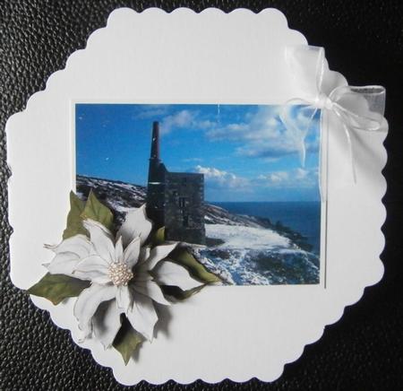 Poinsettia Decoupage Sheet Silver by Davina Rundle