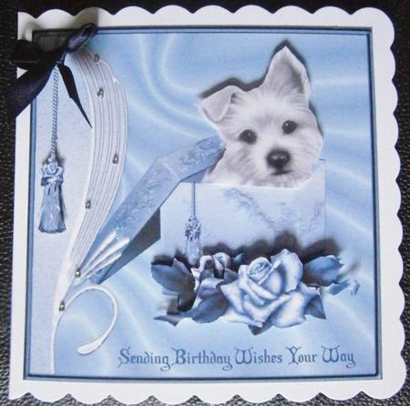 Birthday Puppy in Box by Davina Rundle