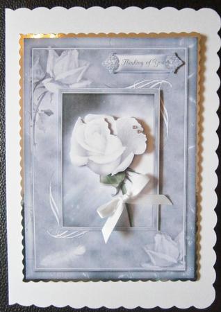 Sympathy Rose by Davina Rundle