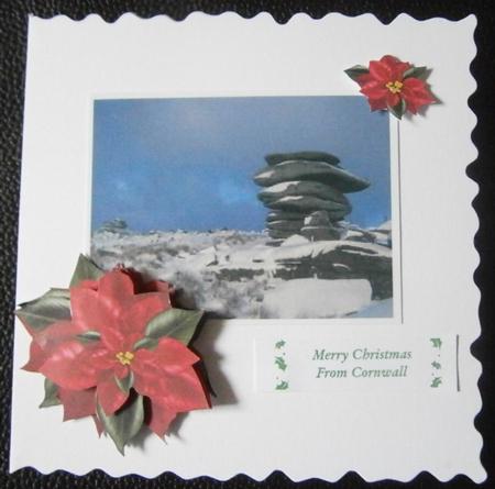 3D Christmas Poinsettia by Davina Rundle