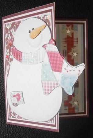 Snowy Goes Over the Edge by Davina Rundle